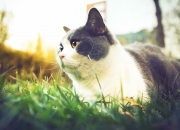 -跨界风暴，浙江队掀翻国王，莫兰特在英超争冠舞台接管比赛