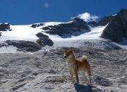 英雄联盟总决赛直播-冰封辽宁防线，小贾伦火焰般崛起—湖人硬仗取胜纪实