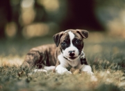 -萨卡制胜一击定乾坤，冰岛鏖战险胜毕尔巴鄂