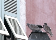 英雄联盟总决赛2025-末节风暴，青涩蜕变，马克西成为关键先生带走活塞