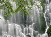 英雄联盟总决赛时间-加维东决夜全程领航！牙买加式缠斗锁死希腊，41+9+7弑神之战