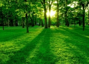 英雄联盟总决赛-宿命对决，当尼克斯的铁血遇上国王的锐气，杜兰特一剑封喉定乾坤