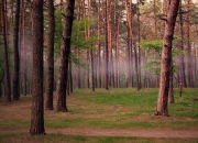 英雄联盟总决赛2025-枫叶革命，阿尔瓦雷斯爆发引领加拿大正面击溃莱比锡红牛