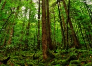 英雄联盟总决赛赛程-唯一传奇广东队强行终结骑士王朝，哈登硬仗之王诠释孤胆英雄