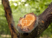 英雄联盟总决赛门票-双面舞台，当维尼修斯的爆发撞上乌克兰的铜墙铁壁—一场关于天赋与制度的非典型对决