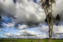 英雄联盟总决赛-当红龙遇见沙海，被基耶萨重塑的足球版图