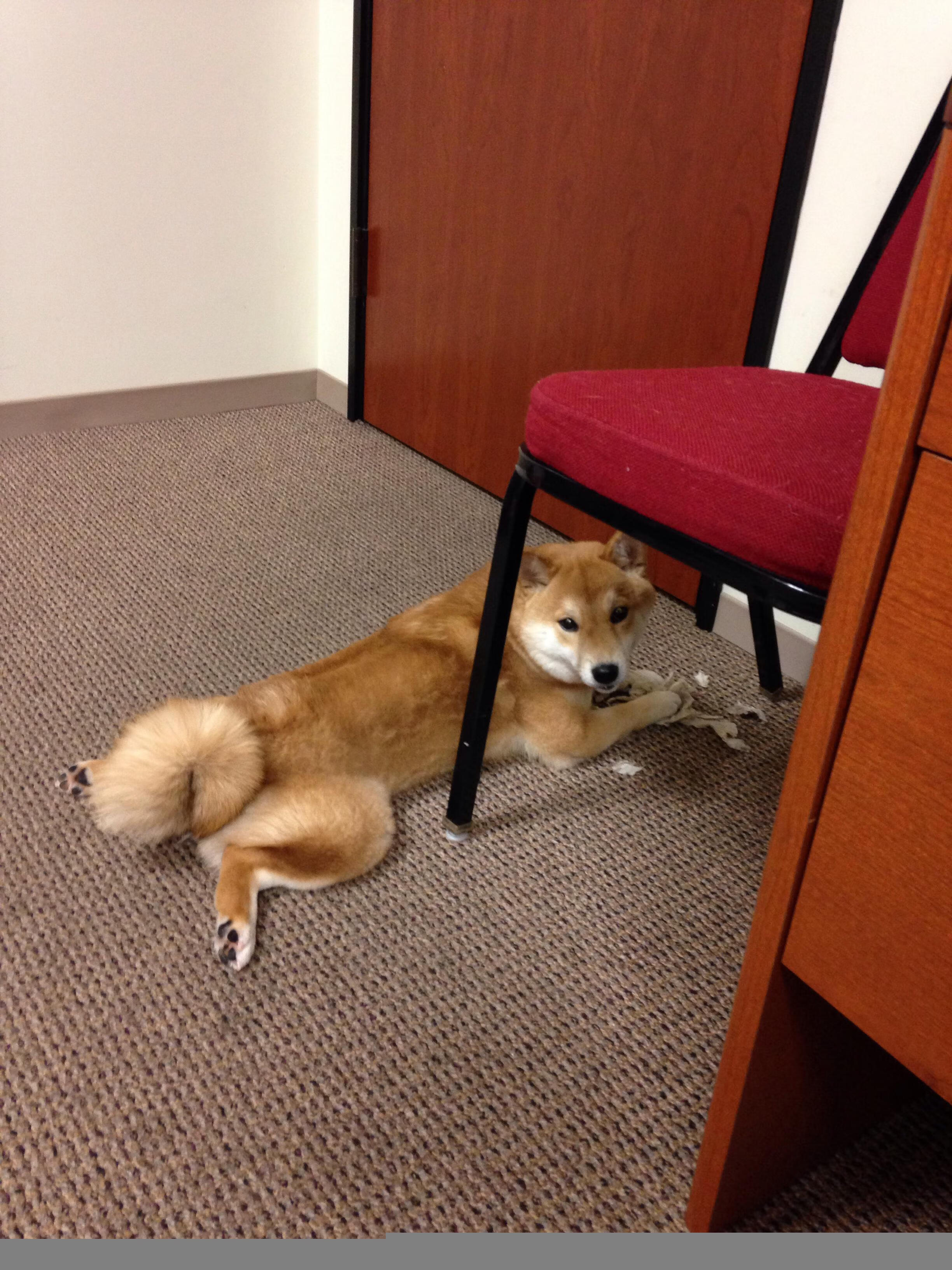 绝境烽火擎天之柱—切特攻防统治，热火一剑封喉吉林