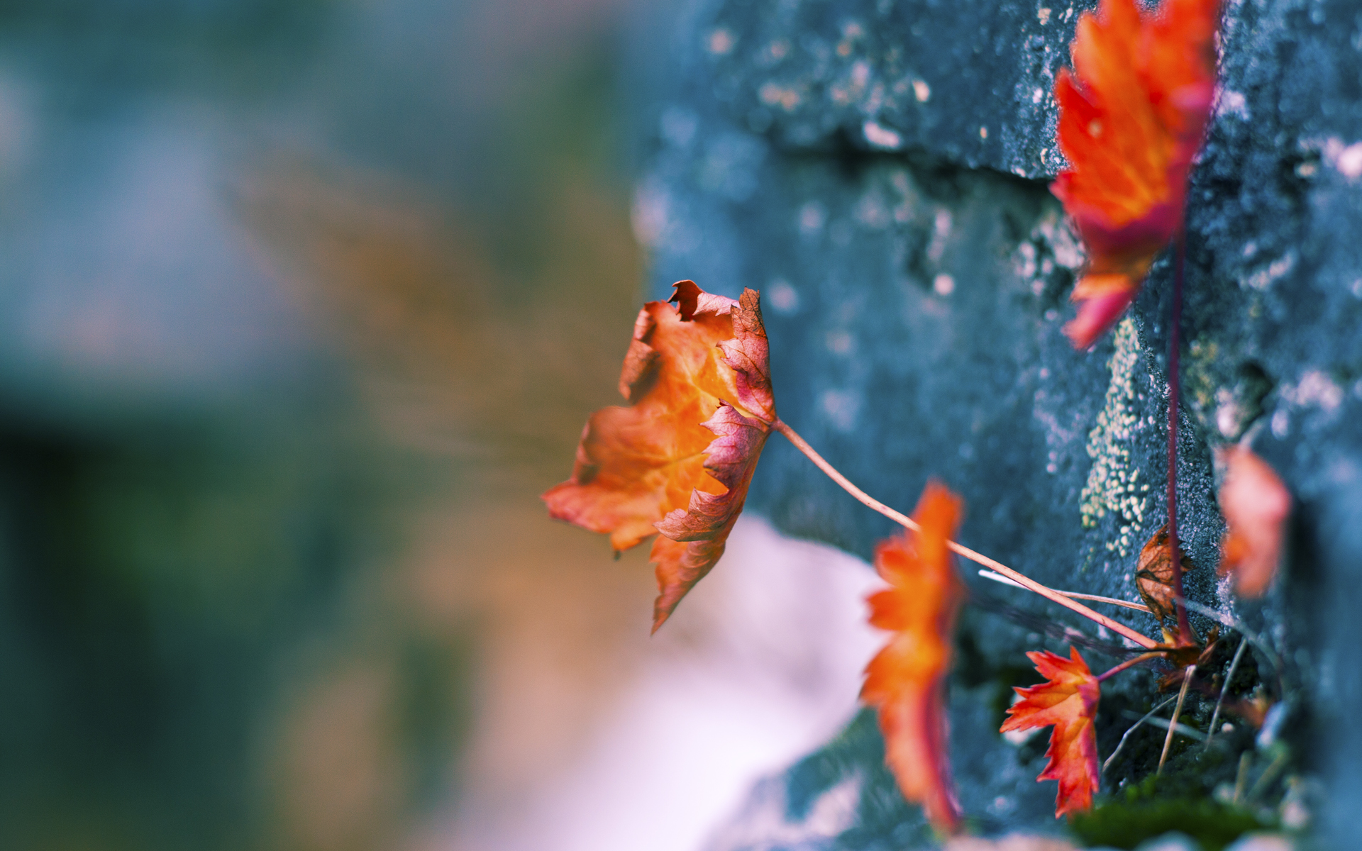 决战时刻，从伊蒂哈德的雨夜到达拉斯的聚光灯下