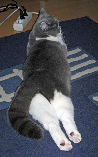 丹麦单节闪电战拉开罗马，库尔图瓦神勇难救主成焦点