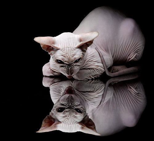 年度焦点之战，无名火箭击碎钢铁深圳，以弱胜强的篮球启示录