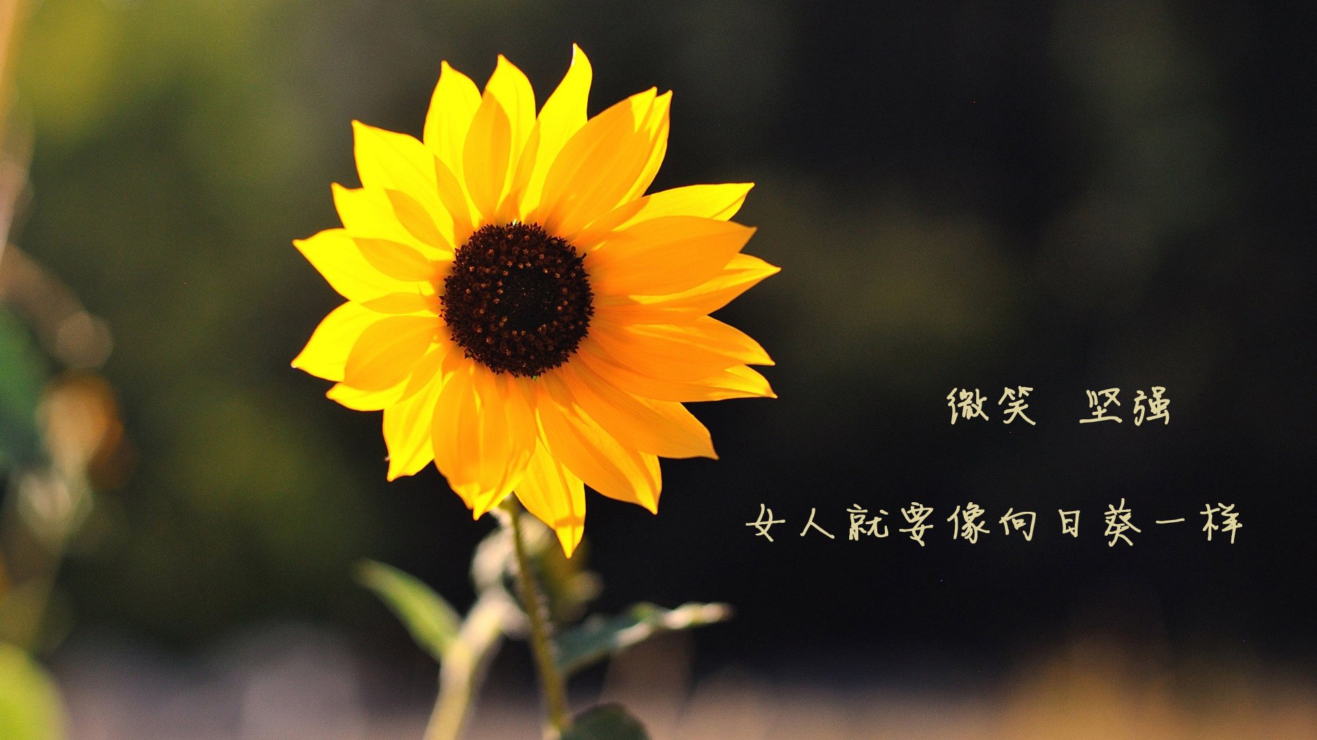 扩展思维后的文章标题