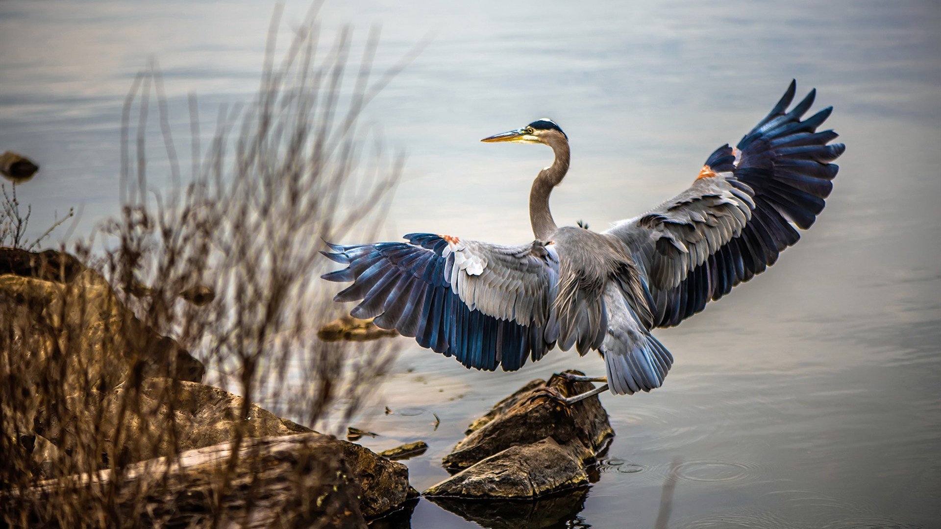 关键节点连得10分!西亚卡姆助步行者逆转掘金