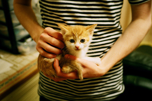 伦纳德62分神迹撕裂掘金，76人窒息防守破解约基奇法则