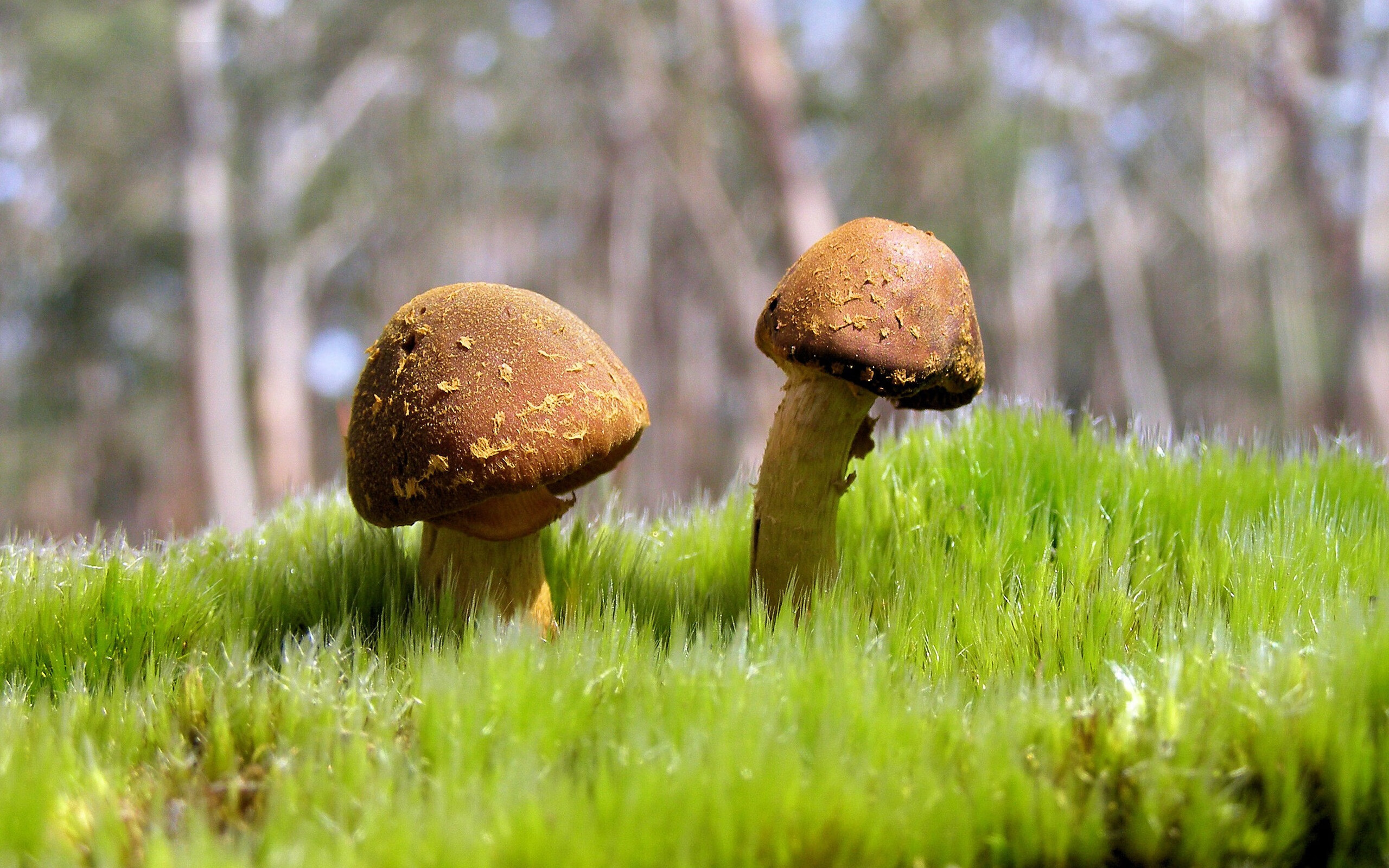 唯一穆勒，一场定义传奇的90分钟