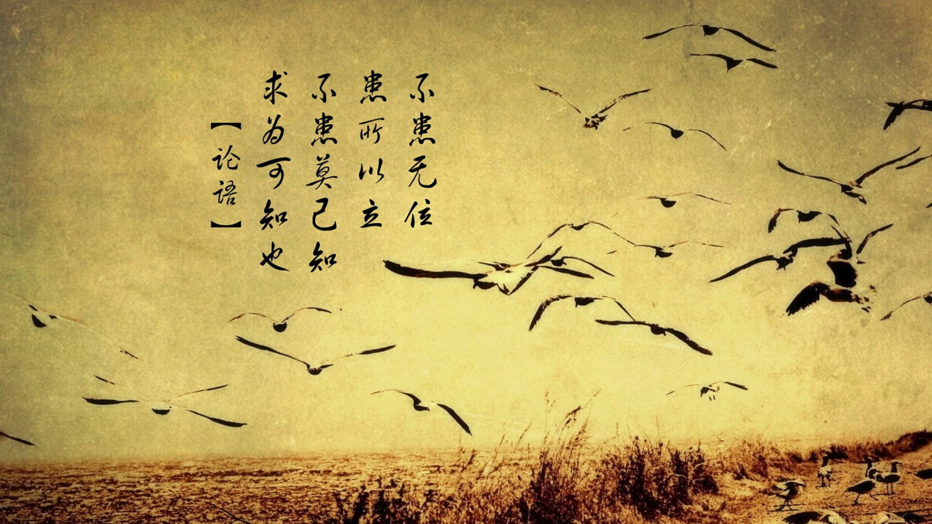 游侠精神击破中国长城，福克斯如火焰刺穿浙江铁壁