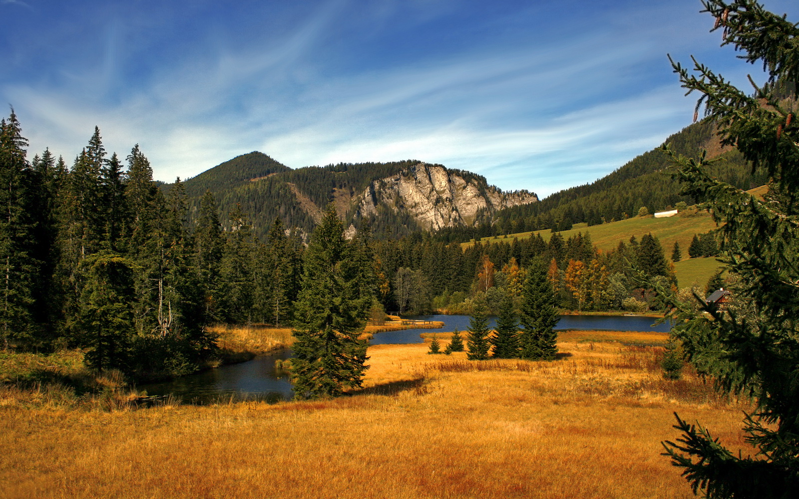 夜光赛道上的孤胆英雄，阿尔瓦雷斯改写F1摩纳哥宿命