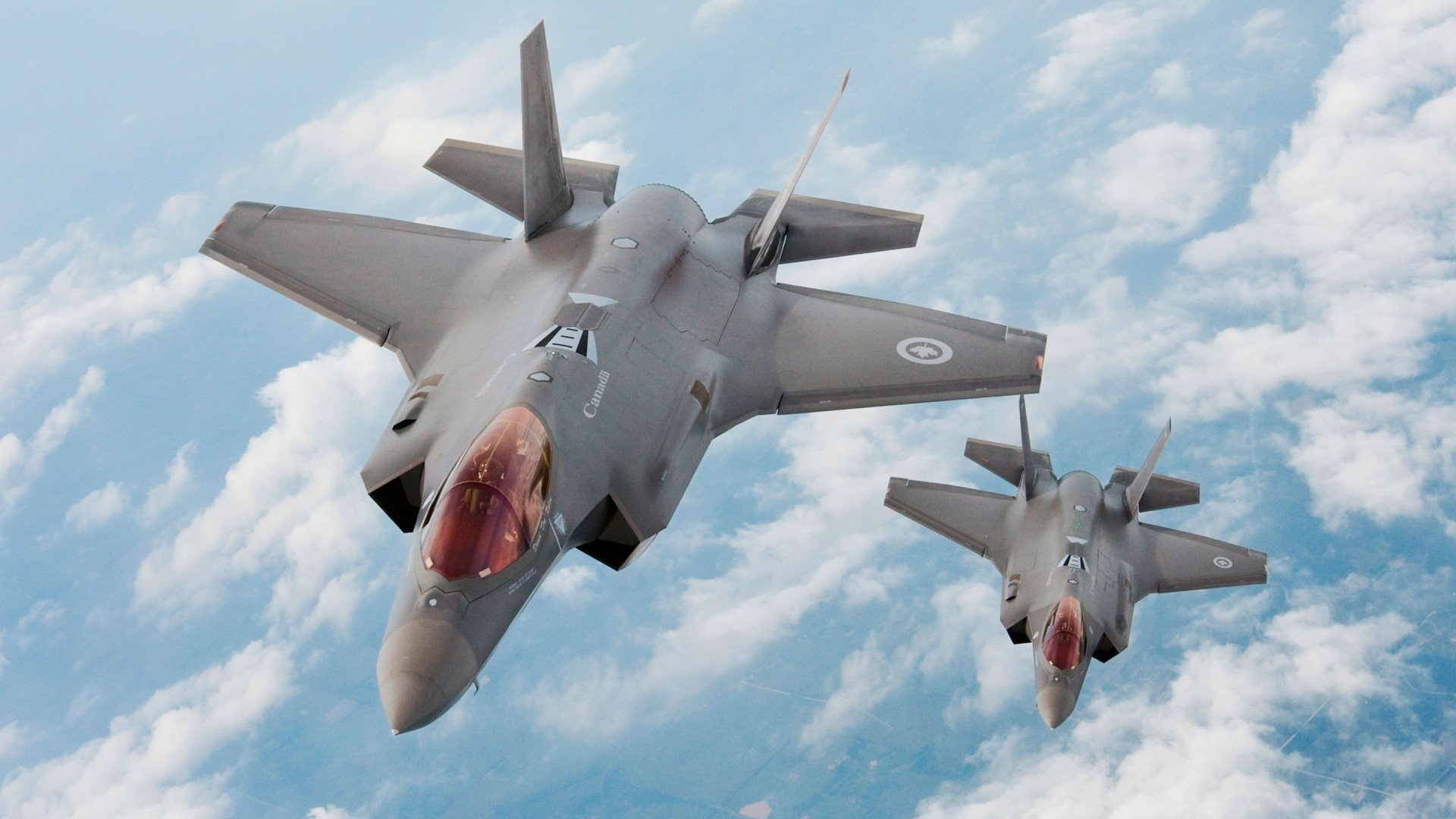 神祇的左手与鸢尾花的叹息，当守护者独自面对时代的洪流