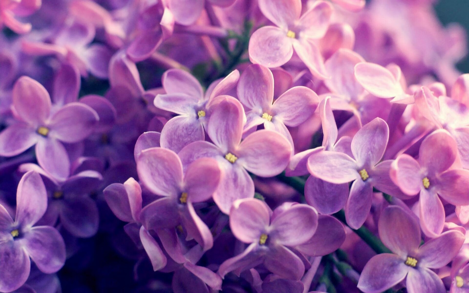 西甲国家德比日的意外风暴，安哥拉友谊赛爆冷击败塞维利亚