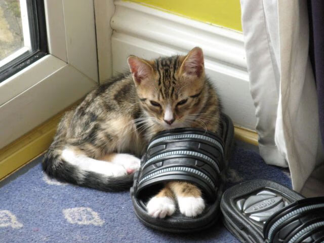 隐形战场的重叠身影，当1950年的坚韧对上2024年的魔笛