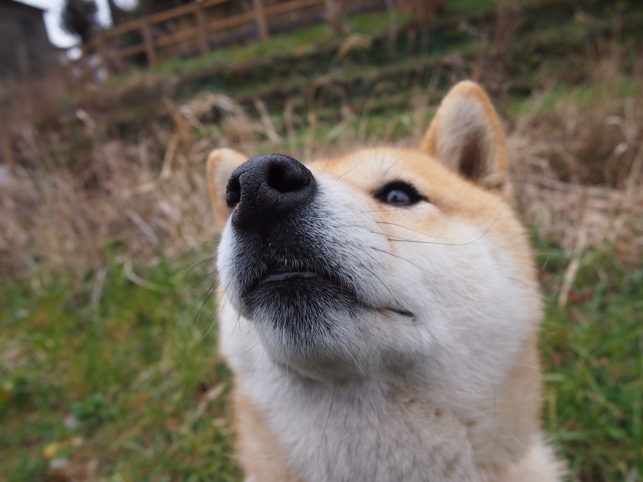 平行宇宙跨界盛景，NBA季后赛之夜孔德完成足球里程碑