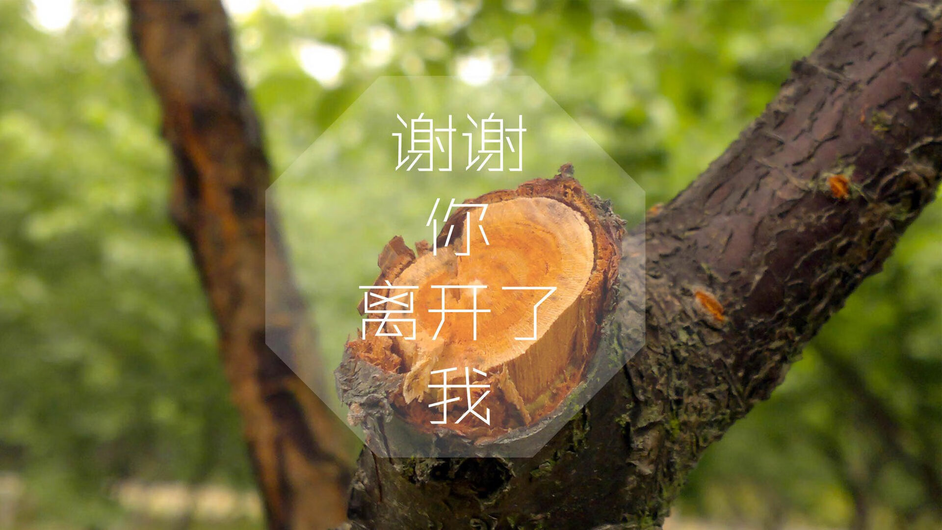 双面舞台,当维尼修斯的爆发撞上乌克兰的铜墙铁壁—一场关于天赋与制度的非典型对决