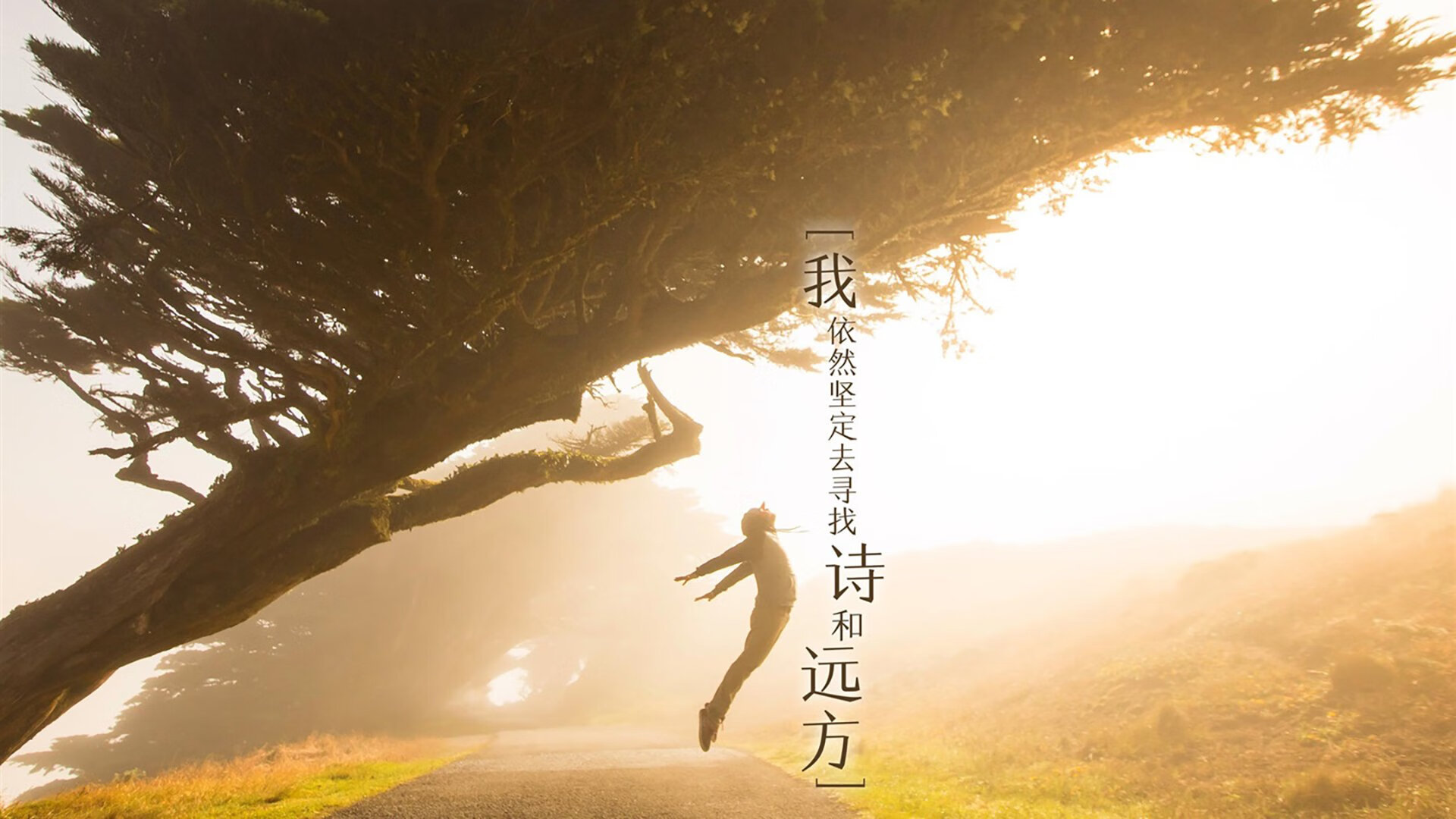 佩德里与瑞士的蓝色交响,2026世界杯E组焦点战,一场技术与意志的完美碾压